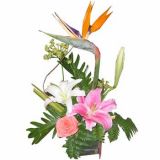 ʯʻٵ
