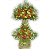 ʯʻٵ