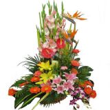 ʯʻٵ