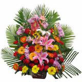 ʯʻٵ