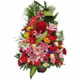 ʯʻٵ