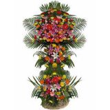 ʯʻٵ